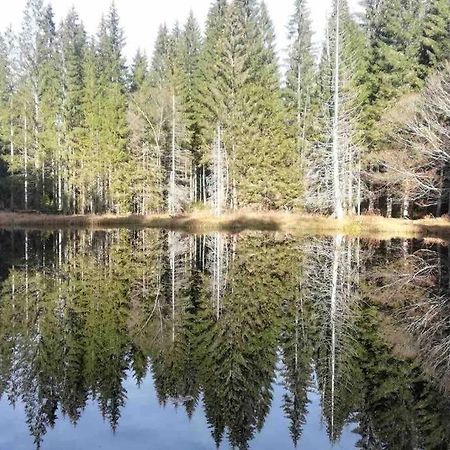 Apartmán Jakub Sklář Železná Ruda Exteriér fotografie