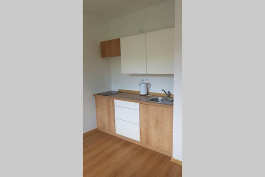Apartmán Jakub Sklář Železná Ruda Exteriér fotografie